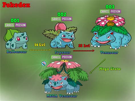 pokemon evolution